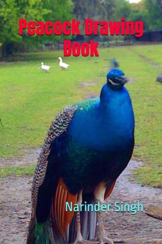 Peacock Drawing Book
