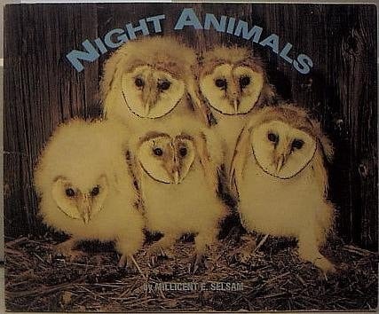 Night Animals