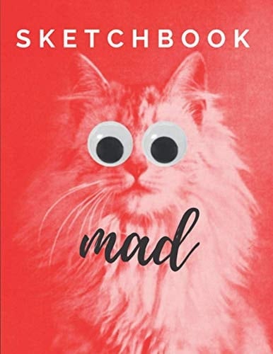 Sketch Book Large and Beautiful Sketchbook for You, 150 Pages, 8. 5 X 11