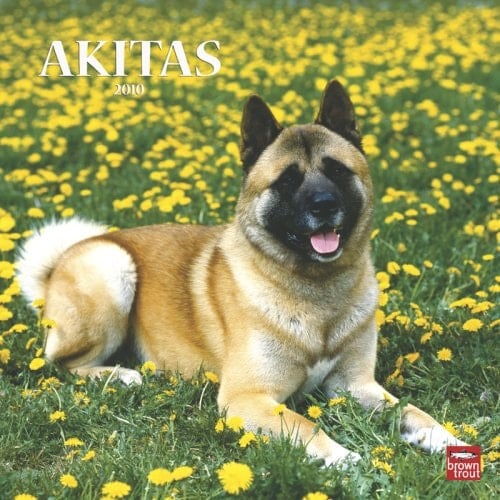 Akitas 2010 Square Wall