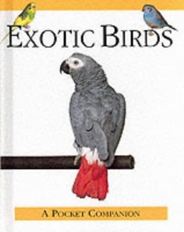 Exotic Birds