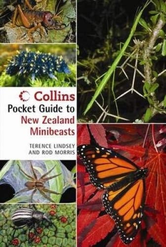 Collins Pocket Guide to New Zealand Minibeasts