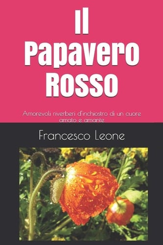 Il Papavero Rosso Amorevoli Riverberi d'inchiostro Di un Cuore Amato e Amante