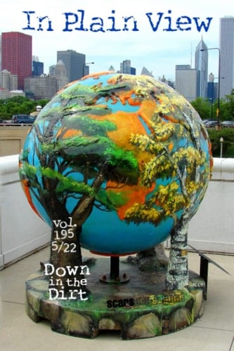 In Plain View: 5/22 Down in the Dirt, v195