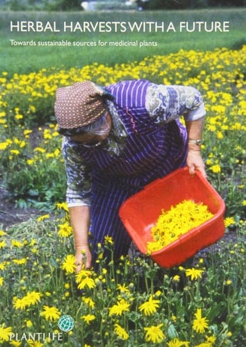 Herbal Harvests with a Future Towards Sustainable Sources for Medicinal Plants