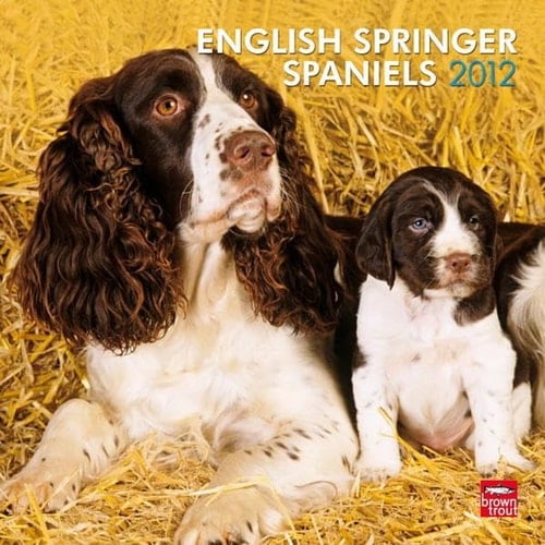 English Springer Spaniels 2012 Calendar