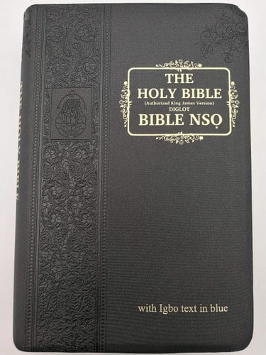 Diglot English - Igbo Holy Bible - AKJV - Bible Nsọ
