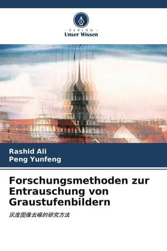 Forschungsmethoden zur Entrauschung von Graustufenbildern: (German Edition)