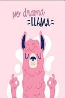 No Drama Lama