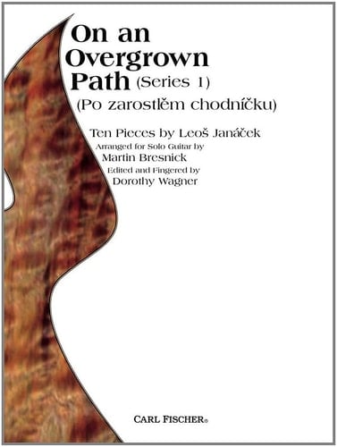 ON AN OVERGROWN PATH GUITARE