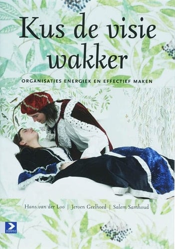 Kus de visie wakker organisaties energiek en effectief maken