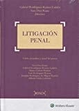 Litigación penal visión sistemática y actual del proceso