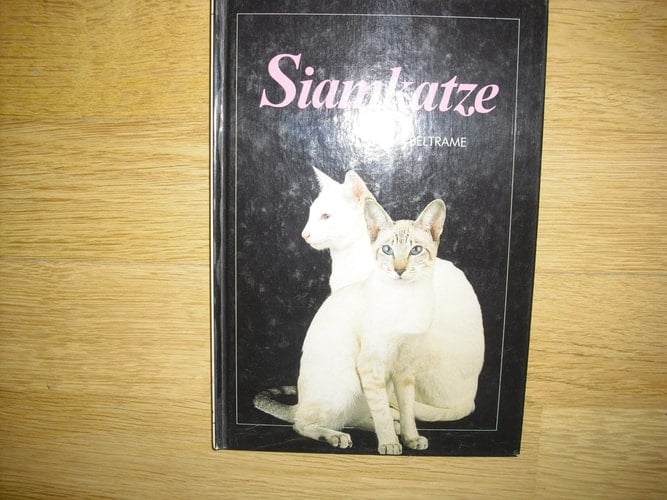 Siamkatze