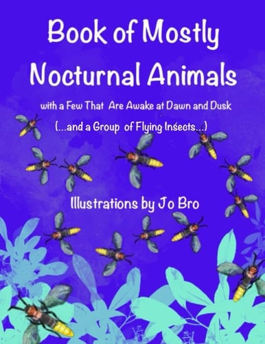 Book of Mostly Nocturnal Animals: A Few Are Awake at Dusk and Dawn