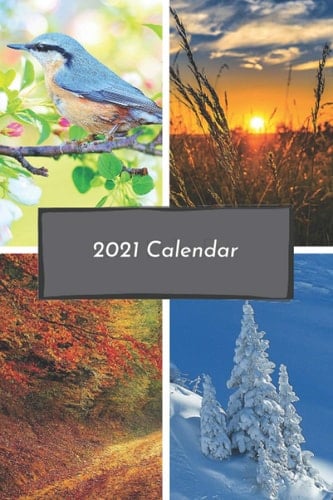 2021 Calendar: 2021 Planner, 6'' x 9'', bleed, colorful cover. (2021 Calendars)