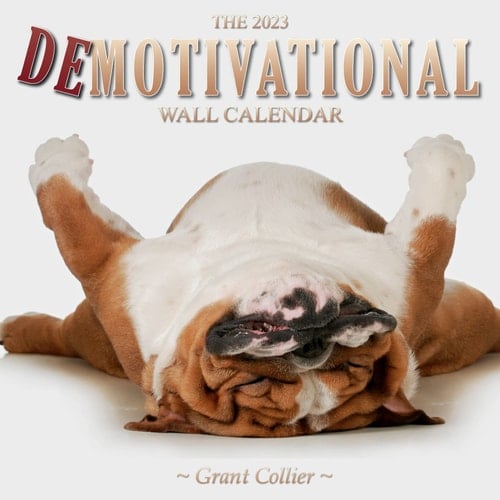 The 2023 Demotivational Wall Calendar