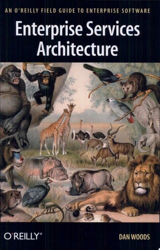 Enterprise Services Architecture