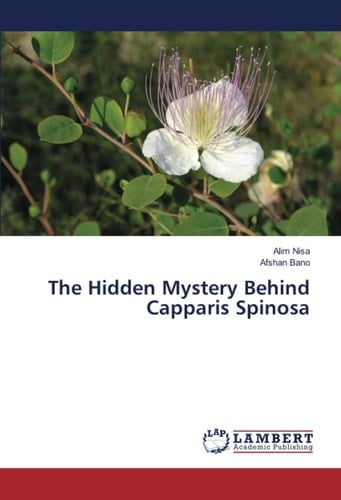 The Hidden Mystery Behind Capparis Spinosa