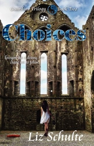 Choices The Guardian Trilogy