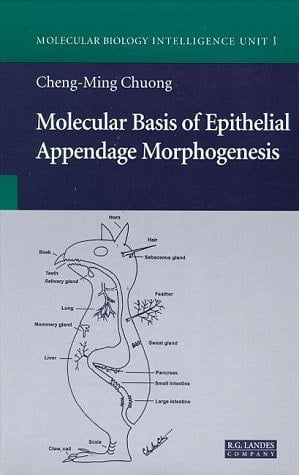Molecular Basis of Epithelial Appendage Morphogenesis (Molecular Biology Intelligence Unit)