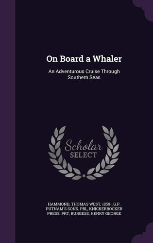 On Board a Whaler An Adventurous Cruise Through Southern Seas