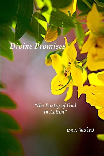 Divine Promises The Poetry of God in Action