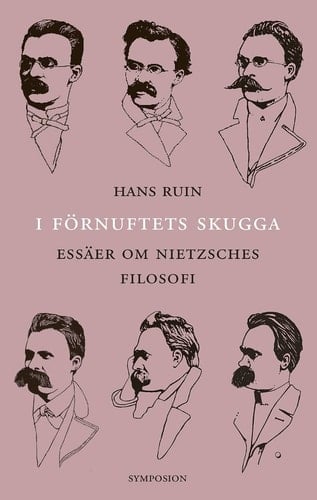 I förnuftets skugga essäer om Nietzsches filosofi