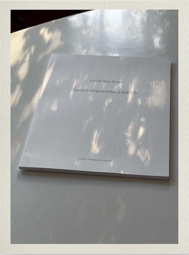 Cerith Wyn Evans Lueurs empruntées à Metz