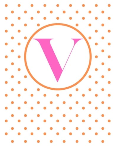 V Initial Notebook