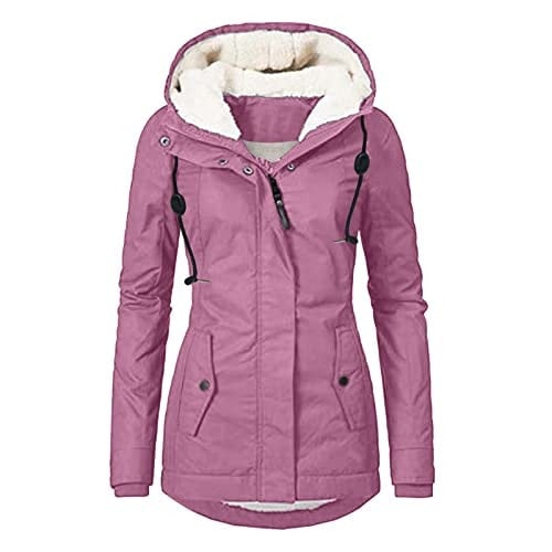 Fotoform Fotografische Ausstellungspraktiken Nach 1945