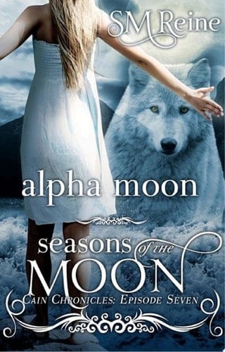 Alpha Moon A Paranormal Romance