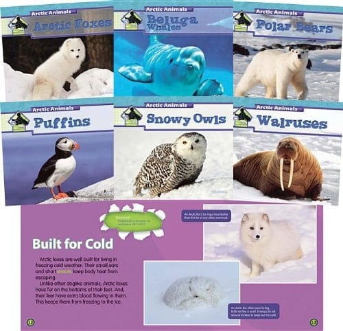 Arctic Animals Set Of 6