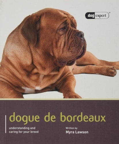 Dogue de Bordeaux Dog Expert