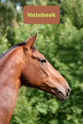 notebook: lined notebook gift for office workers, co-workers and people who love horses