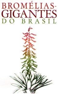 Bromélias gigantes do Brasil