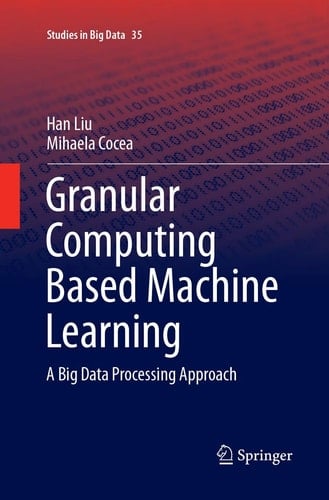 Granular Computing Based Machine Learning A Big Data Processing Approach