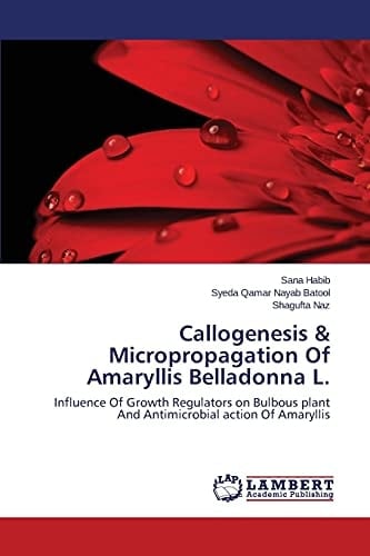 Callogenesis & Micropropagation Of Amaryllis Belladonna L. Influence Of Growth Regulators on Bulbous Plant And Antimicrobial Action Of Amaryllis