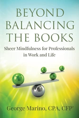 Beyond Balancing the Books Sheer Mindfulness for Professionals in Work and Life