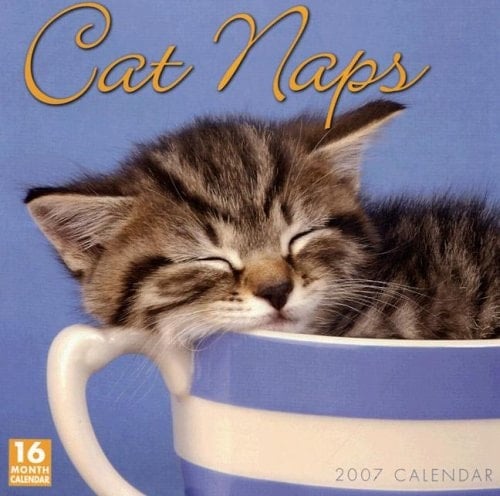 Cat Naps Calendar 2007
