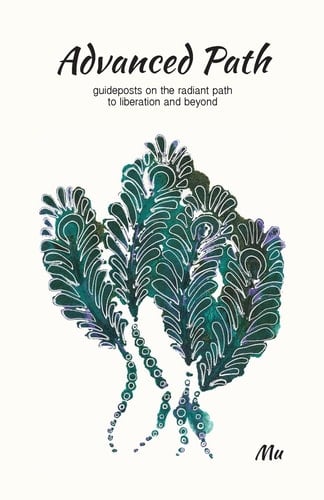 Advanced Path Guideposts on the Radiant Path to Liberation and Beyond