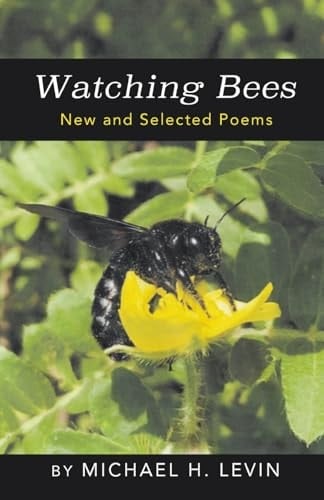Watching Bees