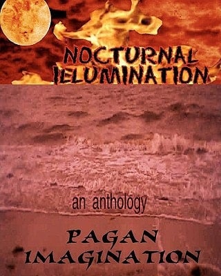 Nocturnal Illumination An Anthology