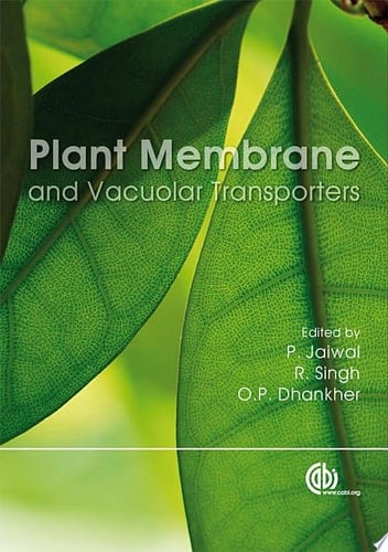 Plant Membrane and Vacuolar Transporters