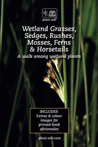 Wetland Grasses, Sedges, Rushes, Mosses, Ferns & Horsetails: Take a walk among wetland plants