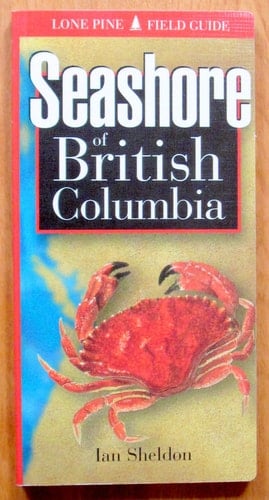 Seashore of British Columbia