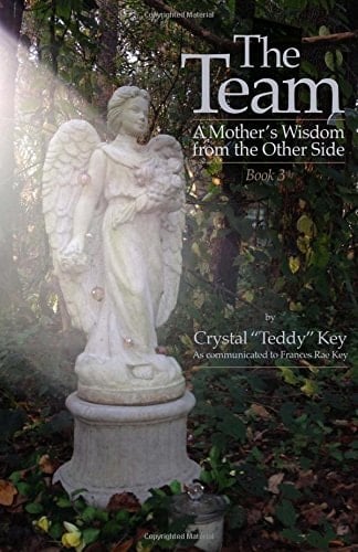 The Team: a Mother's Wisdom from the Other Side - Book 3