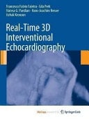 Real-Time 3D Interventional Echocardiography