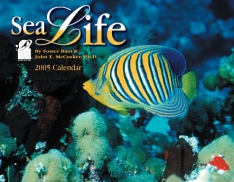 Sea Life 2005 Calendar