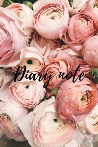 Diary note: Journal and Notebook for Girls - Composition Size (15,24cmx22,86cm) With Lined and Blank Pages, Perfect for Journal, Doodling, Sketching and Notes