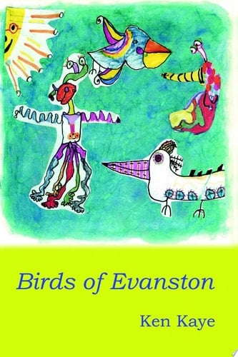 Birds of Evanston